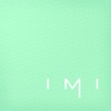 IMI Agency Logo