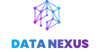 Data Nexus Logo