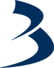 Blitz Studios Logo