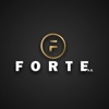 Forte A.Ş. Logo