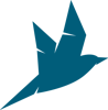 Chaos Theory Studios, LLC Logo