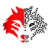 Direnzic Technology Consulting Group, LLC Logo