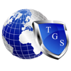 Triton Global Services, Inc. Logo