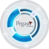 Pegaso Consulting Logo