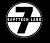 SaptTechLabs Logo