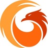 PhoenixTeam Logo