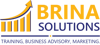 Brina Solutions Logo
