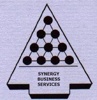 SYNERGY BUSINESS SERVICES Logo