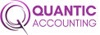 Quantic Accounting Logo