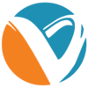 Valuesoft Info Services Logo
