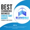 EcomSole Logo