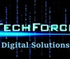 Techforce Digital Solutions LLC Logo