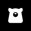 Bold Bear Logo