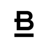 Black Dove Studios Logo