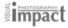 Visual Impact 360 Logo