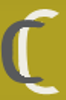 ConversionCONSULT Logo
