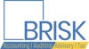 Brisk Logo