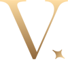Vivid Viko Design Studio Logo