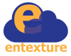 Entexture Logo