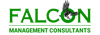 Falcon Management Consultants Logo