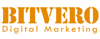 Bitvero Digital Marketing Logo