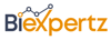 BI Expertz Logo