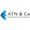 ATN & Co. Logo