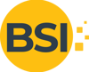 Business Software India Logo