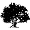EverTrue Financial Services Logo