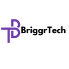 Briggr Technologies LTD Logo