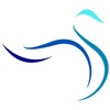 Blue Swan Strategies Logo