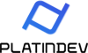 Platin Dev Logo