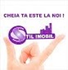 Stil Imobil Logo