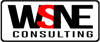 WSNE Consulting Logo