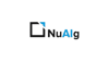 NuAIg AI Consulting Logo