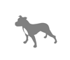 Grey Dog Logo