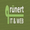 Grünert IT & Web Logo