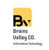 Brains Valley Information Technology Logo