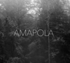Amapola Logo