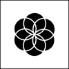 Tiger Water Operations Logo
