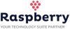 Raspberry IT Services Logo