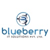Blueberry IT Solutions Pvt Ltd Logo