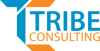 Tribe Consulting Pvt. Ltd. Logo