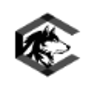 Snow Logo