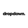 Dropdown Media Logo