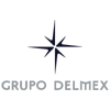 Delmex Group Logo