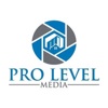 Pro Level Media, LLC Logo