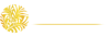 Palmetto Web Design Logo