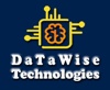 DaTaWise Technologies Logo