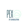 Pexo IT Solution Ltd. Logo